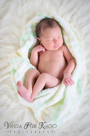 Newborn Photographer Devon