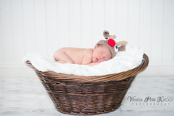 Newborn Photographer Devon